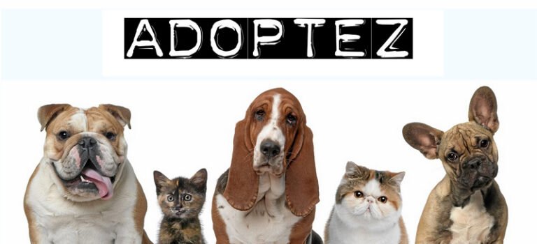 ADOPTEZ! N’ACHETEZ PAS!