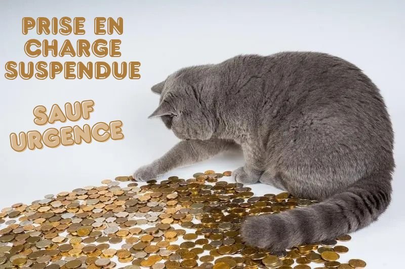 FAIRE UN DON