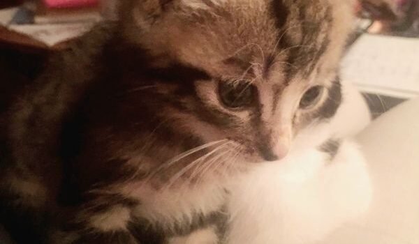 2025 – Loyd 2025 – Loyd