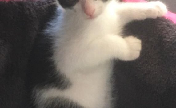 2025 – Léa 2025 – Léa