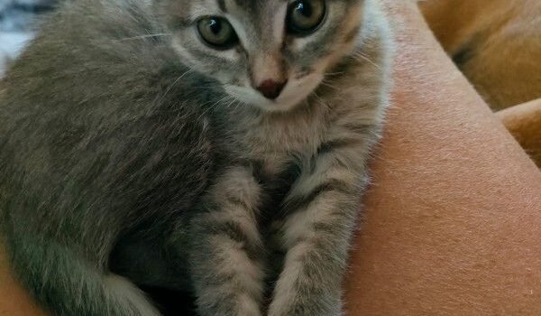 2025 – Tiny 2025 – Tiny