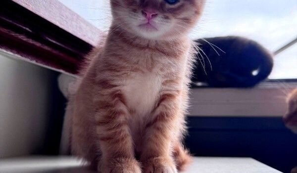 2025 – Pêche 2025 – Pêche