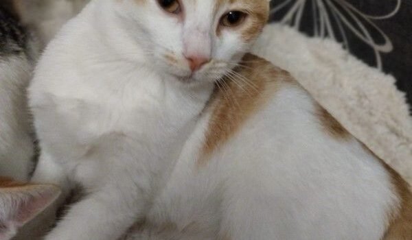 2025 – Alya 2025 – Alya