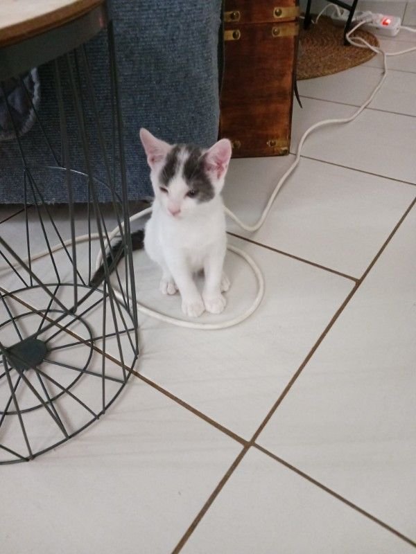 Pouxy
