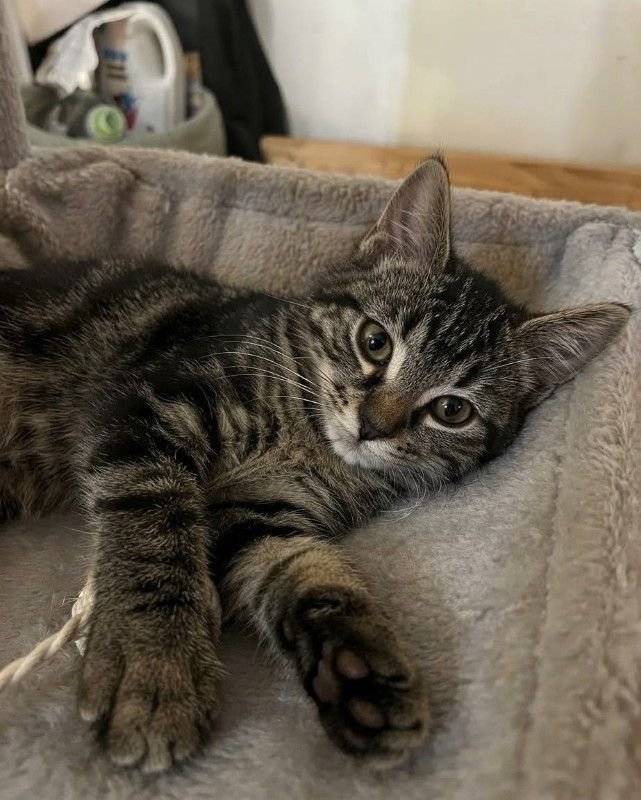 Mia
