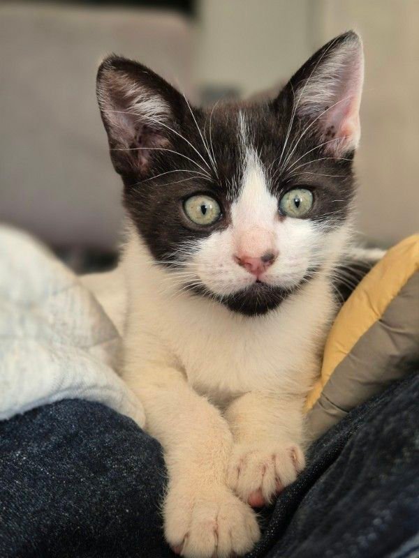 Max